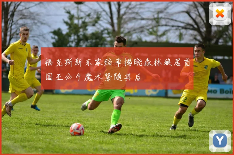 福克斯新东家赔率揭晓森林狼居首国王公牛魔术紧随其后