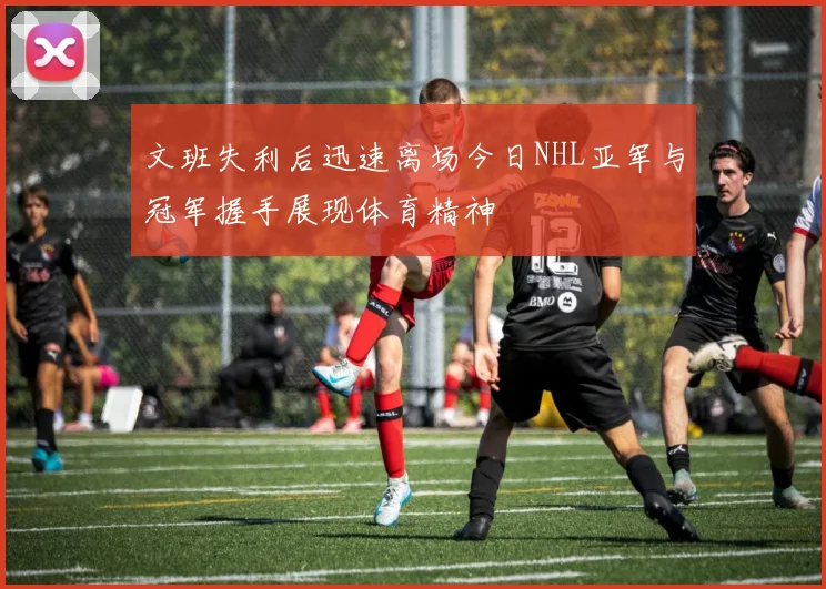 文班失利后迅速离场今日NHL亚军与冠军握手展现体育精神