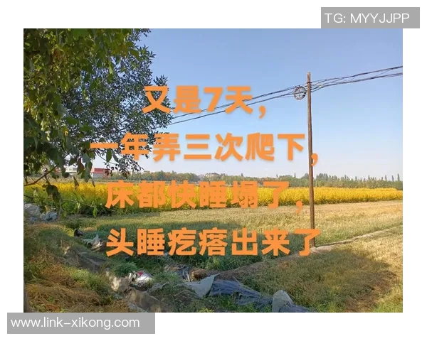 提升身体状态的秘诀华子分享理想睡眠时间每日九到十小时的重要性