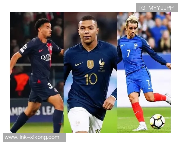 法甲球员身价下滑分析扎伊尔埃梅里与帕瓦尔领衔跌幅榜